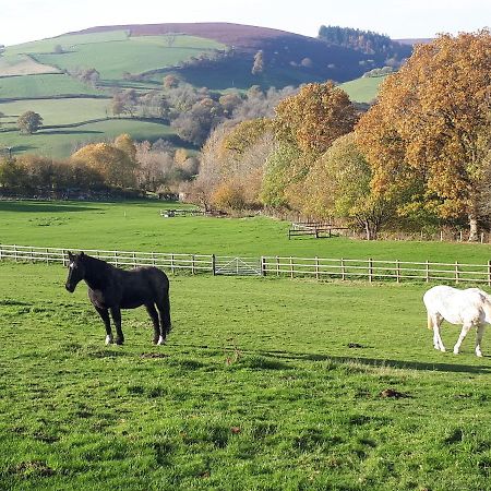 Buzzards Breg Villa Builth Wells Exteriör bild