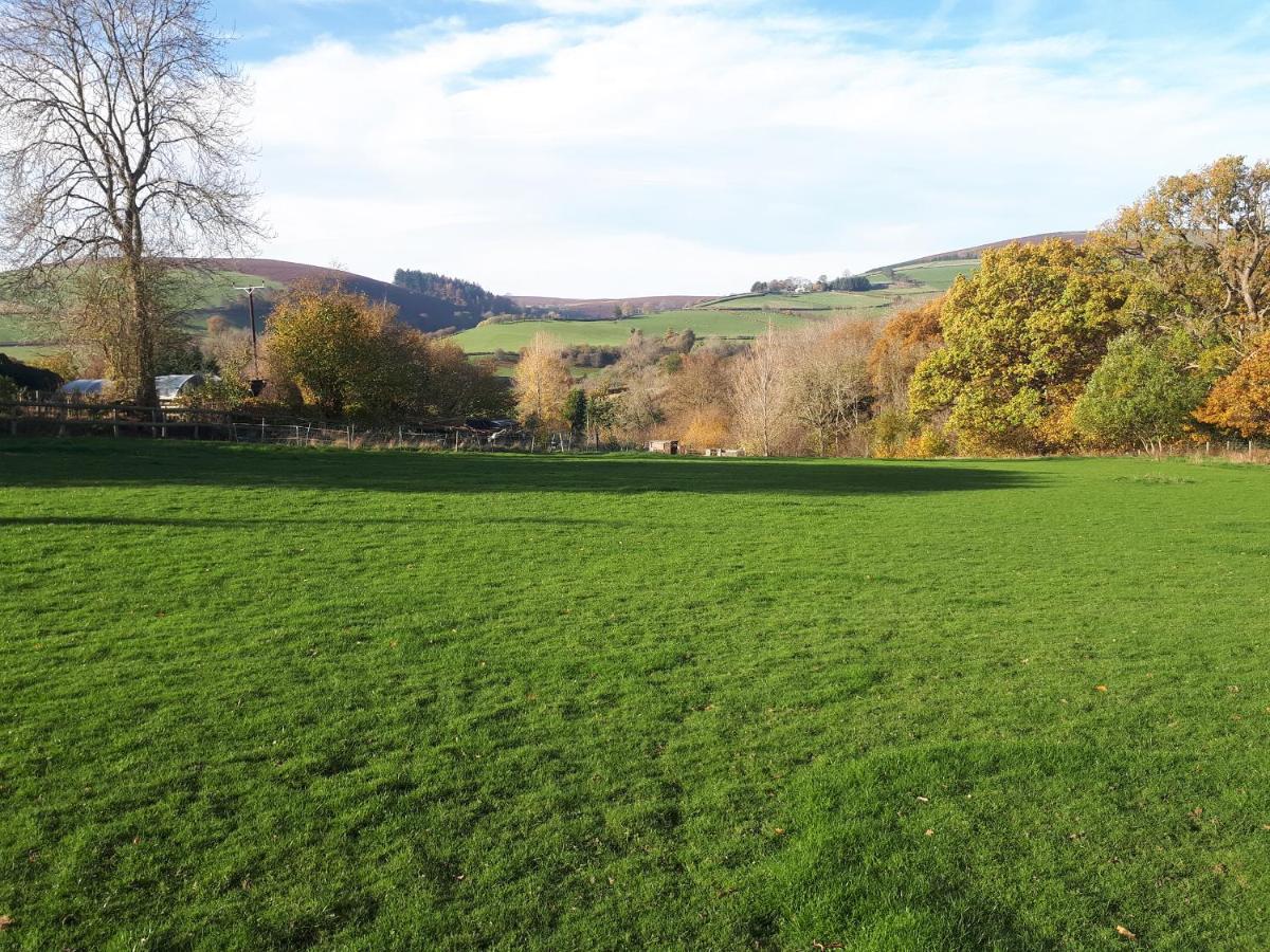 Buzzards Breg Villa Builth Wells Exteriör bild